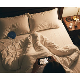 Zenpod review — R6_couple_bed_shared