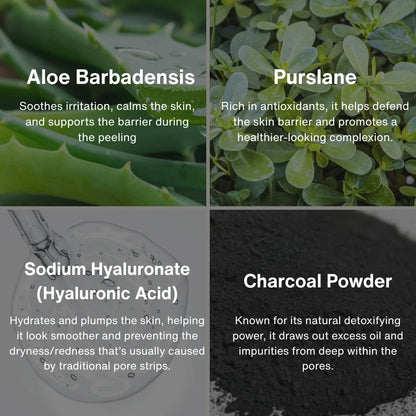 Zenmira Pore Cleansing Patch System — ingredients