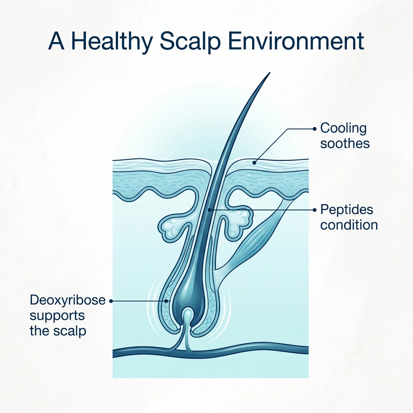 Zenmira Deoxyribose Serum — scalp science